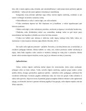 Ugdymo įtaka vaikams turintiems elgesio sutrikimų 5 puslapis