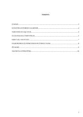 Europos Sąjungos (ES)  plėtra 2 puslapis