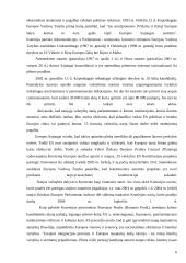 Europos Sąjungos (ES)  plėtra 6 puslapis