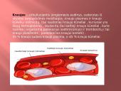 Kraujo grupės, donorystė 3 puslapis