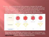 Kraujo grupės, donorystė 7 puslapis