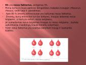 Kraujo grupės, donorystė 8 puslapis