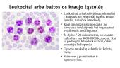 Kraujo sandara ir svarba 10 puslapis