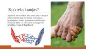 Kraujo sandara ir svarba 15 puslapis