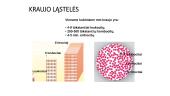 Kraujo sandara ir svarba 3 puslapis