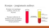 Kraujo sandara ir svarba 4 puslapis