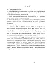 Europos sąjungos (ES) bendros užsienio ir saugumo politikos susiformavimas 12 puslapis