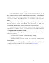 Europos sąjungos (ES) bendros užsienio ir saugumo politikos susiformavimas 2 puslapis