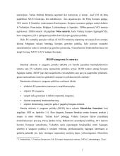 Europos sąjungos (ES) bendros užsienio ir saugumo politikos susiformavimas 6 puslapis