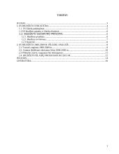 Europos Sąjungos (ES) biudžeto sudarymo principai 2 puslapis