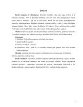 Europos Sąjungos (ES) biudžeto sudarymo principai 3 puslapis