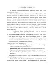 Europos Sąjungos (ES) biudžeto sudarymo principai 4 puslapis