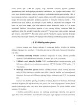 Europos Sąjungos (ES) biudžeto sudarymo principai 5 puslapis