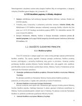 Europos Sąjungos (ES) biudžeto sudarymo principai 6 puslapis