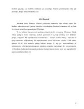 Europos Sąjungos (ES) biudžeto sudarymo principai 8 puslapis