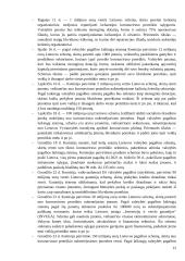 Valstybės paramos nuo pandemijos nukentėjusiems verslams efektyvumas 10 puslapis