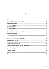 Europos Sąjungos (ES) raida 2 puslapis