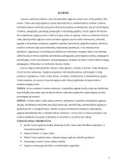 Pedagoginės praktikos (su negalią turinčiais ugdytiniais) ataskaita 2 puslapis