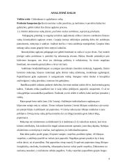 Pedagoginės praktikos (su negalią turinčiais ugdytiniais) ataskaita 3 puslapis