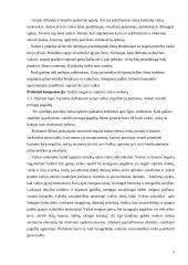 Pedagoginės praktikos (su negalią turinčiais ugdytiniais) ataskaita 4 puslapis