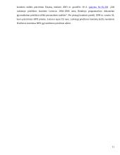 Europos Sąjungos (ES) struktūriniai fondai 11 puslapis