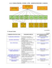 Europos Sąjungos (ES) struktūriniai fondai 12 puslapis