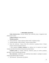 Europos Sąjungos (ES) struktūriniai fondai 20 puslapis