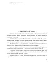 Europos Sąjungos (ES) struktūriniai fondai 3 puslapis