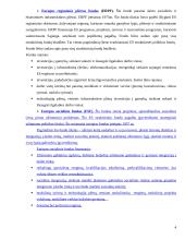 Europos Sąjungos (ES) struktūriniai fondai 4 puslapis