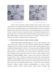 Atvejo analizė. Smurtas artimoje aplinkoje 11 puslapis