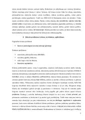 Atvejo analizė. Smurtas artimoje aplinkoje 6 puslapis