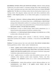 Atvejo analizė. Smurtas artimoje aplinkoje 8 puslapis