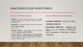 Bakterijos (skaidrės) 7 puslapis