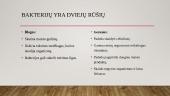 Bakterijos (skaidrės) 9 puslapis