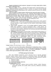 Metalų korozija. Dilimas. Mechanizmų tepalai  2 puslapis
