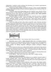 Metalų korozija. Dilimas. Mechanizmų tepalai  6 puslapis