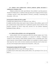 Europos Sąjungos (ES) struktūriniai fondai, jų parama Lietuvai 13 puslapis