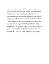 Europos Sąjungos (ES) šalių įmonių rūšys ir funkcijos 2 puslapis