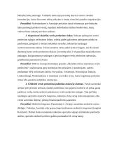 Europos Sąjungos (ES) šalių įmonių rūšys ir funkcijos 11 puslapis