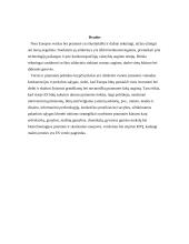 Europos Sąjungos (ES) šalių įmonių rūšys ir funkcijos 12 puslapis