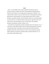 Europos Sąjungos (ES) šalių įmonių rūšys ir funkcijos 3 puslapis