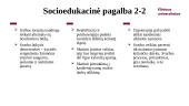 Piko liga: prevencija ir socioedukacinė pagalba 12 puslapis