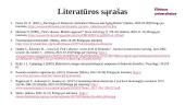 Piko liga: prevencija ir socioedukacinė pagalba 15 puslapis