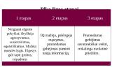 Piko liga: prevencija ir socioedukacinė pagalba 6 puslapis