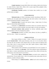 W. Golding knygos „Musių valdovas“ atvejo analizė 2 puslapis