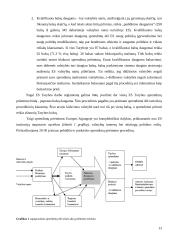Europos Sąjungos (ES) taryba ir jos veikla 13 puslapis
