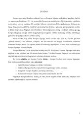 Europos Sąjungos (ES) taryba ir jos veikla 3 puslapis