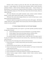 Europos Sąjungos (ES) taryba ir jos veikla 6 puslapis