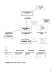 Europos Sąjungos (ES) taryba ir jos veikla 8 puslapis