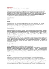 Amfetaminas. Rašto darbas 